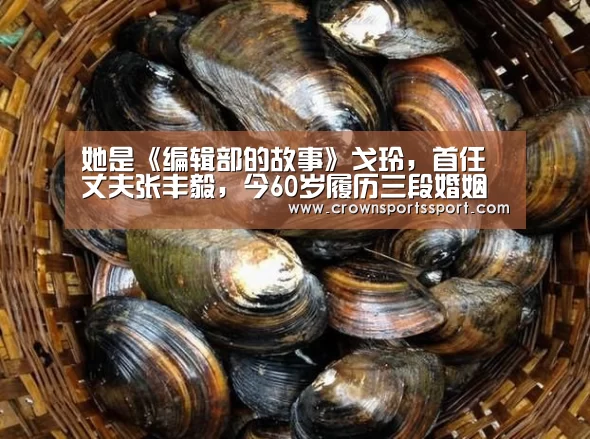 皇冠最新网站