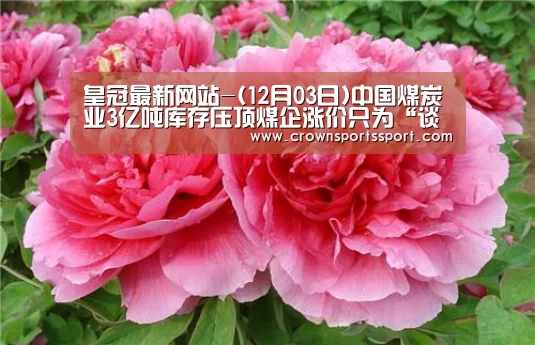 皇冠最新网站-(12月03日)中国煤炭业3亿吨库存压顶煤企涨价只为“谈判”造势(图4) 皇冠最新网站官网