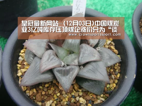 皇冠最新网站-(12月03日)中国煤炭业3亿吨库存压顶煤企涨价只为“谈判”造势(图3) 皇冠最新网站-(12月03日)中国煤炭业3亿吨库存压顶煤企涨价只为“谈判”造势(图3)