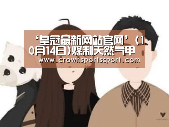 ‘皇冠最新网站官网’(10月14日)煤制天然气甲烷化技术取得突破(图3) 皇冠最新网站